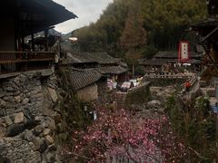 -林坑古村落