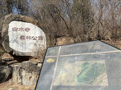 -白水寺森林公园