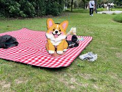 -苏州河梦清园环保主题公园