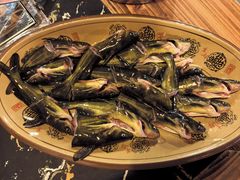 -老凯里苗岭酸汤鱼酸汤牛肉(百里杜鹃路店)