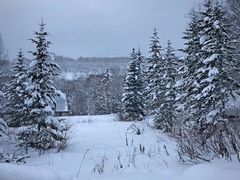 -二世古滑雪场