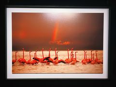 -罗红摄影艺术馆