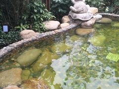 -天目湖涵田半山温泉