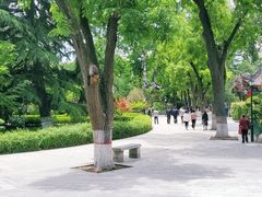 -莲湖公园
