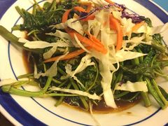 -茉莉.Red Crab