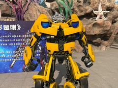 -华夏文旅海洋公园