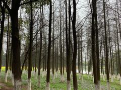 -艾溪湖湿地公园