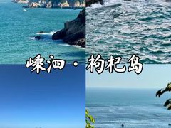 -枸杞岛