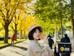 -三里屯东五街银杏大道