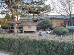 -有喜胶东小馆(太申祥和店)