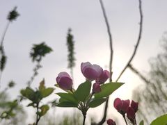 -元大都城垣遗址公园