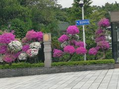 -广州莲花山旅游区