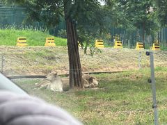 -秦皇岛野生动物园