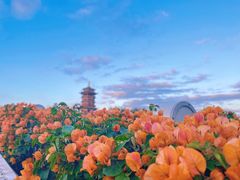 -厦门园林博览苑