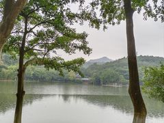-番禺大夫山森林公园