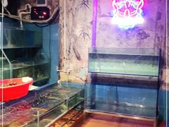 水产区-辉记炭烧海鲜大排档·老字号(福田店)