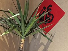 -有才叔的小馆(高新咖啡街区店)