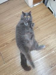 -EasyLady美甲沙龙