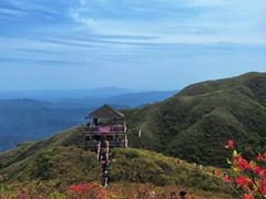 -大围山国家森林公园