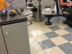 -广州保龄球馆(广州天河体育中心店)