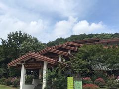 -中国茶叶博物馆(双峰馆区)