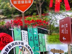 -白马涧龙池景区