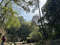 -白鹿洞书院