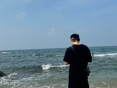 -广东惠东海龟国家级自然保护区
