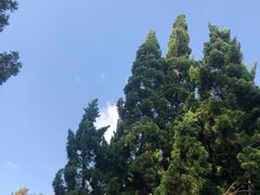 -蝴蝶泉公园