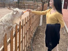 -水上乐园·欢乐世界