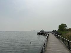 -莲花岛景区