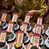 预测马上成为常州顶流……
