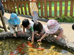 -蒙蒙狮蒙台梭利儿童之家