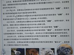 -青藏高原野生动物园