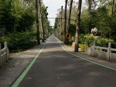 -合肥滨湖国家森林公园