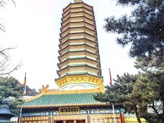 -八大处公园