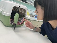-北京观赏动物医院·24小时大型综合·猫专科·异宠专科