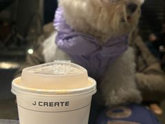 -J Create城市露营咖啡·简餐·宠物(上海动物园店)