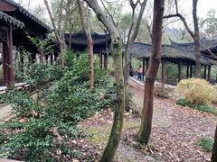 -上海佘山国家森林公园天马山园