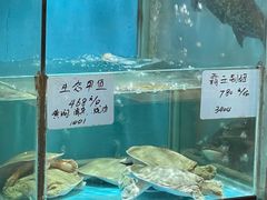 -海江5号