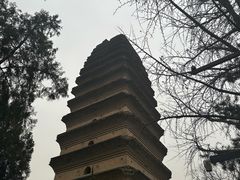 -长安大牌档之西安博物院文化餐厅(中贸店)