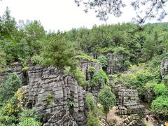 -梭布垭石林景区