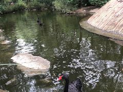 -济南野生动物世界