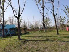 -上海滨江森林公园