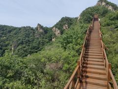 -大岭沟猕猴桃谷风景区