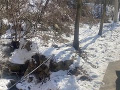 -西安祥峪森林公园