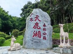 -天鹿湖森林公园