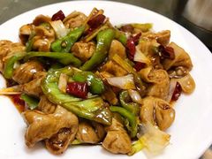 辣肥肠-林之六八·6886大连老菜馆