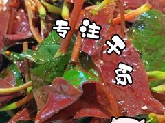 -小板凳(四公里店)