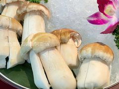 -滇色蒸汽石锅鱼(京华城店)